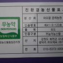 배추씨앗 파종 이미지