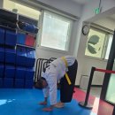 짱태권도 | [강서구성인태권도]100세 시대 준비하자! 실버태권도로 행복과 건강 챙기기💕