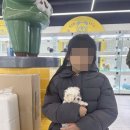 인천강아지분양테디럽