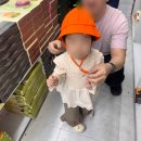 서귀동-20 | 제주 서귀포매일올레시장 먹거리 추천 드림회센터 회포장 완전 만족 후기