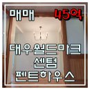 수영강대우공인중개사사무소 | 고급짐의 어나더레벨 대우월드마크 펜트하우스 95평 귀한 타입 매매