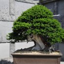 제주아트랜드 이미지