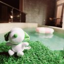 그랑모던풀빌라 | 포항그랑모던 애견 풀빌라 후기