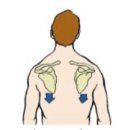 천지원헬스 이미지