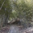 방화동가족휴가촌 자동차야영장 이미지