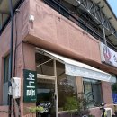 [홍천 애견동반카페] 소노펫 근처 써니플 내돈내산 브런치