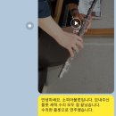 소피아플룻수리 이미지