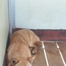 근계3리 이미지