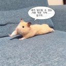 스튜디오고유 이미지