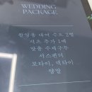 w-7 | W.7 맞춤정장 후기 (표현비스포크)