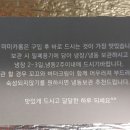 미미카롱