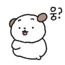 오늘의 댕댕 이미지