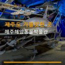 제주해양 | 제주도 가볼맛한 곳 제주해양동물박물관 체험과 전시가 알찬 제주해양동물박물관 후기