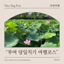 994 | 부여 당일치기 여행 코스 | 장원막국수,카페 합송리 994,궁남지,서동연꽃축제후기