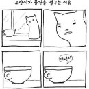 (주)세양 이미지
