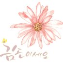 광주미싱 이미지