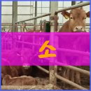 도릉농원 이미지