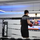 펀치라인복싱 이미지