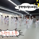 블랙벨트 월드 태권도 이미지