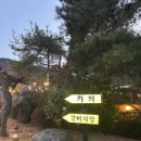 강대박