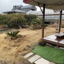 소롱코지 이미지