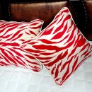 한이침장 이미지