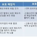 [정보] (금융용어) 신용부도스왑(CDS) 이미지