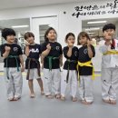 모화태권도장 이미지