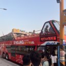 엠티브이8로 | 시흥 거북섬 2층 버스 시범 운행 🚍✨ 아이랑 함께 주말 체험 후기