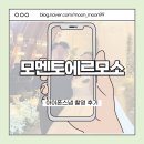 에르모소(HERMOSO) | 아이폰 스냅 - 모멘토 에르모소 촬영 후기(벨라루체웨딩홀, 밝은홀, 채플홀)