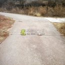 신구리농장 Daum카페