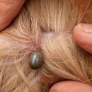 아산아이윌24시동물메디컬센터 이미지