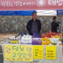 태양굼벵이 이미지