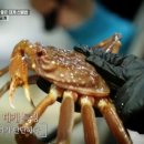 대게집 이미지
