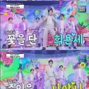 단댄스 이미지
