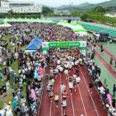 보성체육공원운동장 이미지