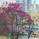 어의정로 이미지