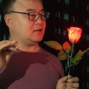마술 쇼핑하우