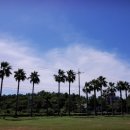 신창떡볶이 이미지