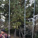 태균농장 이미지