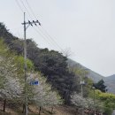 헐티로 이미지