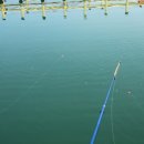 낚고락고 이미지