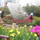 북구청광장 이미지