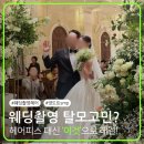 웨딩촬영 헤어피스 대신 &#39;이것&#39;으로 정수리탈모 고민 해결했어요!