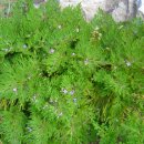 시골정취 이미지