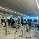 피트니스382 이미지