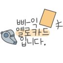 춘천꽃집향기나는뜰 이미지