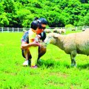 파란목장 이미지