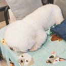 오션스테이 이미지