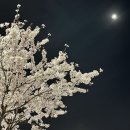 효영농장 | 2022.03-04 일상일기